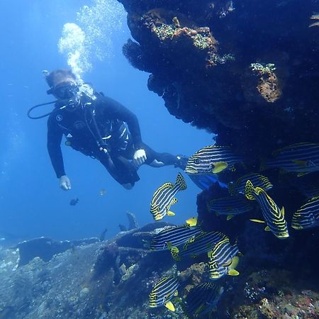 Palm Springs Bali Dive Resort تولامبين المظهر الخارجي الصورة