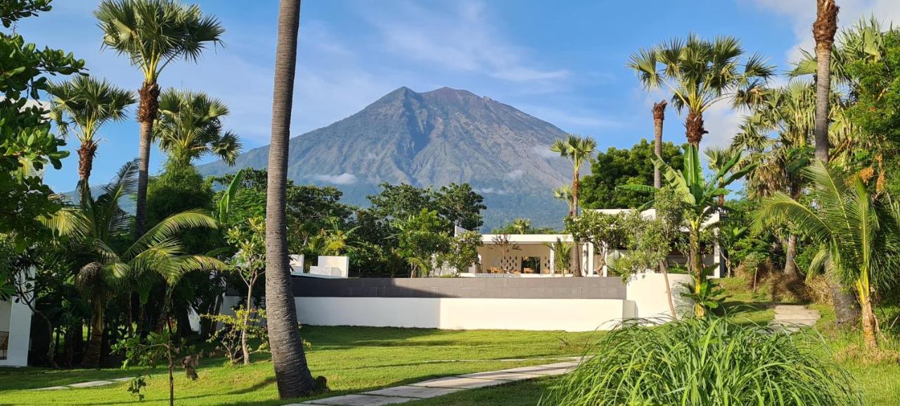 Palm Springs Bali Dive Resort تولامبين المظهر الخارجي الصورة