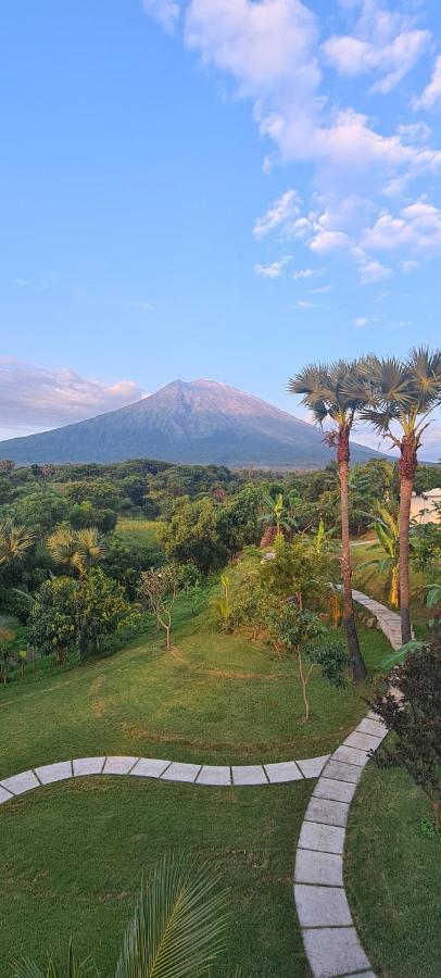 Palm Springs Bali Dive Resort تولامبين المظهر الخارجي الصورة
