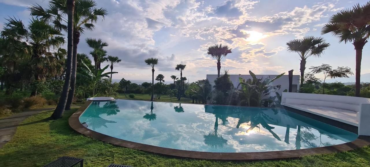 Palm Springs Bali Dive Resort تولامبين المظهر الخارجي الصورة