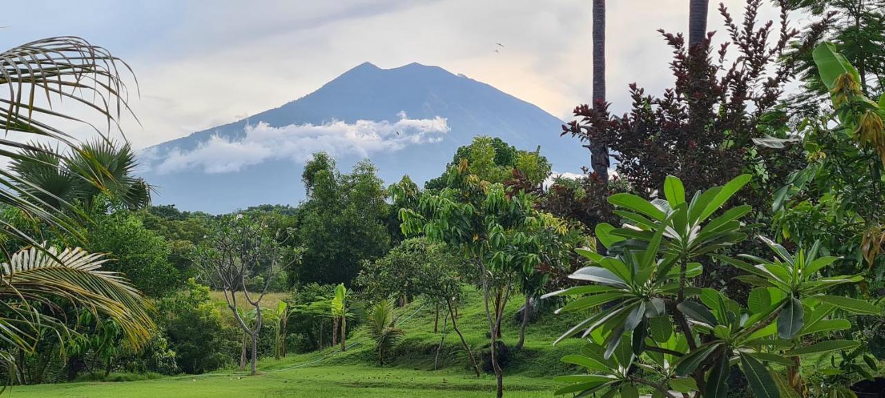 Palm Springs Bali Dive Resort تولامبين المظهر الخارجي الصورة
