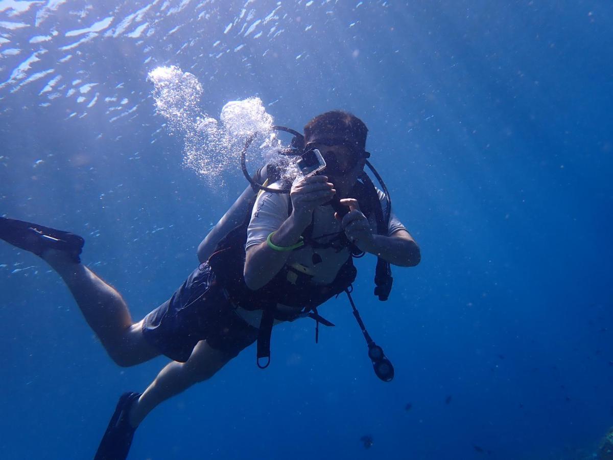 Palm Springs Bali Dive Resort تولامبين المظهر الخارجي الصورة