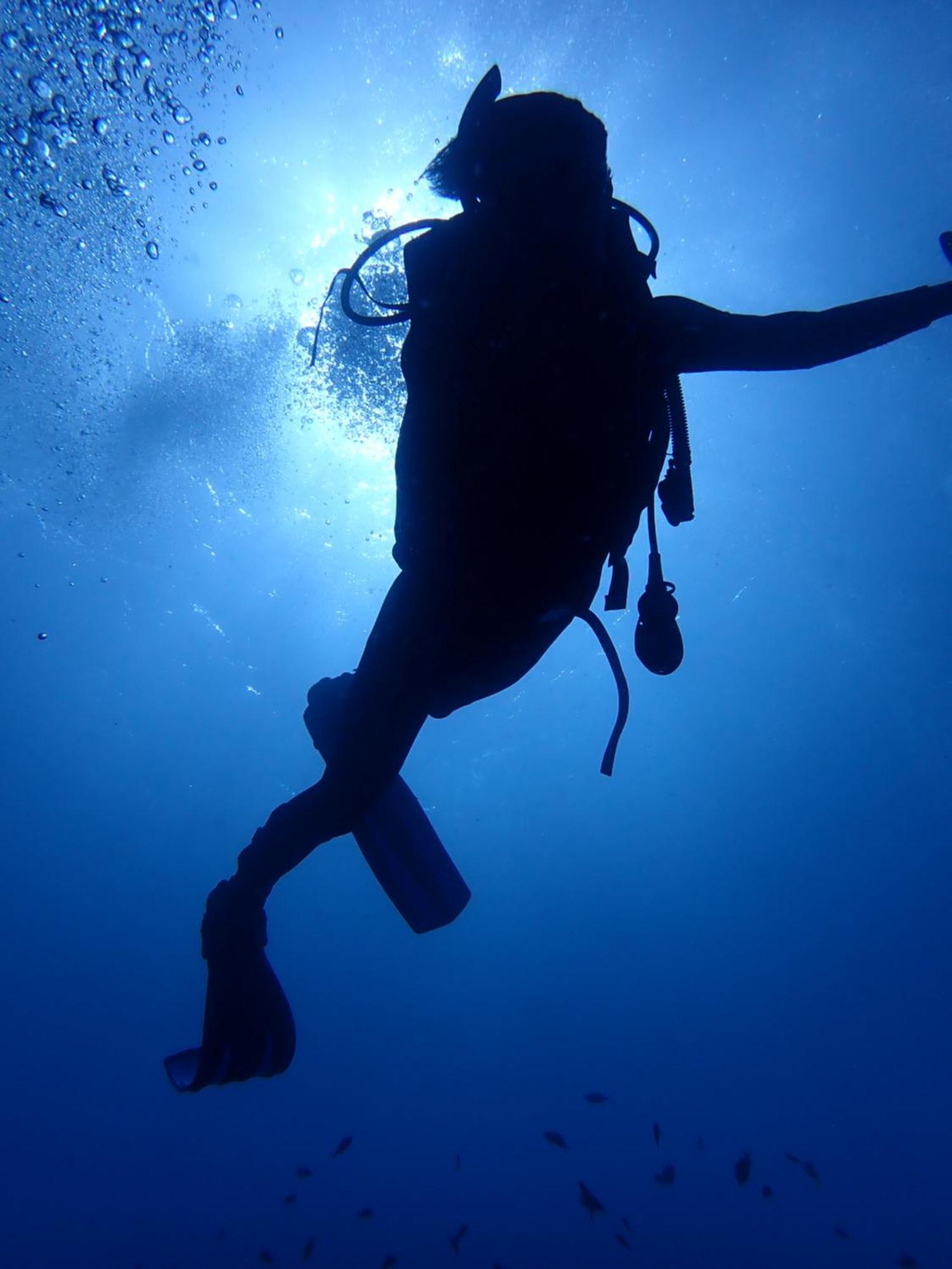 Palm Springs Bali Dive Resort تولامبين المظهر الخارجي الصورة