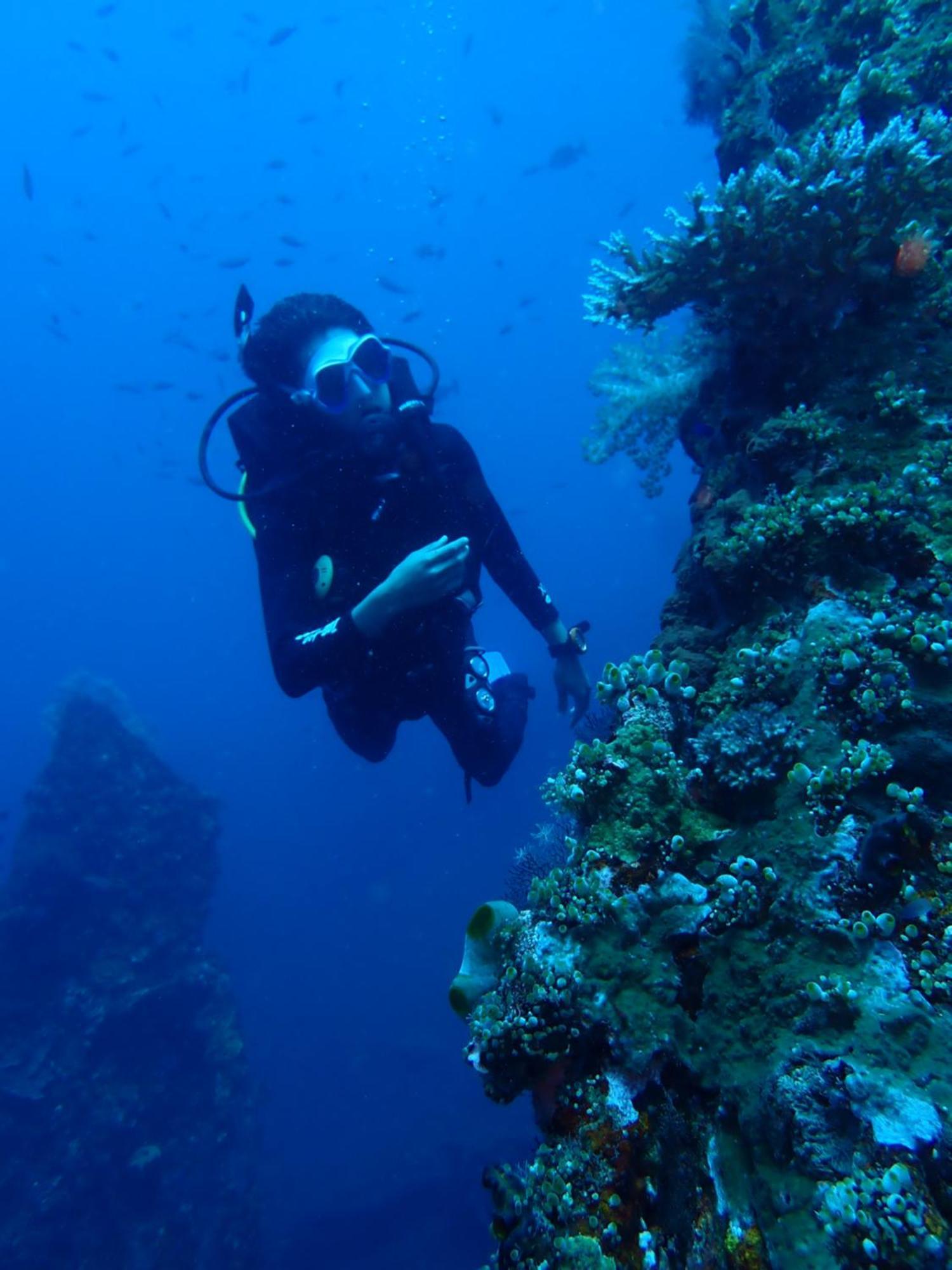 Palm Springs Bali Dive Resort تولامبين المظهر الخارجي الصورة