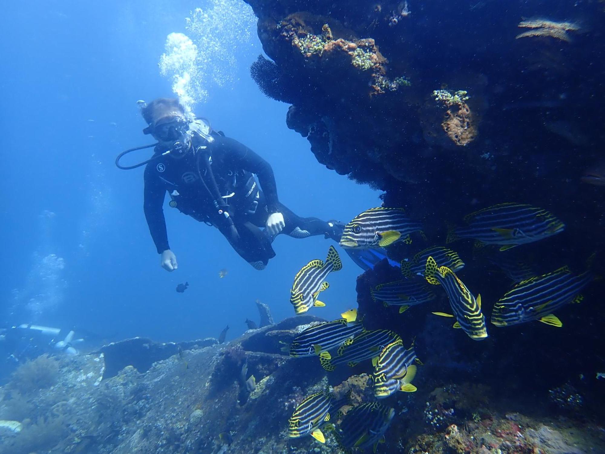 Palm Springs Bali Dive Resort تولامبين المظهر الخارجي الصورة