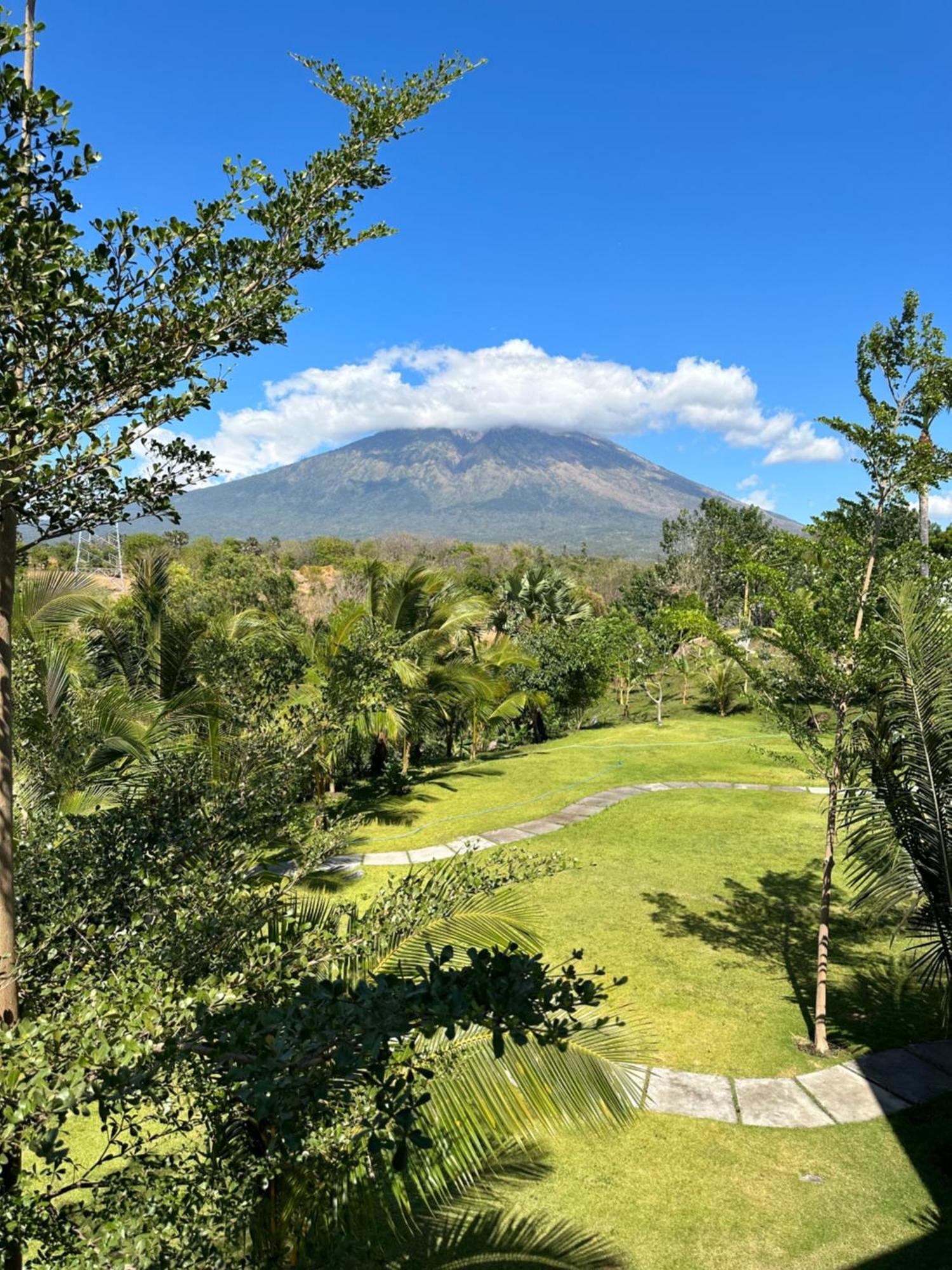 Palm Springs Bali Dive Resort تولامبين المظهر الخارجي الصورة